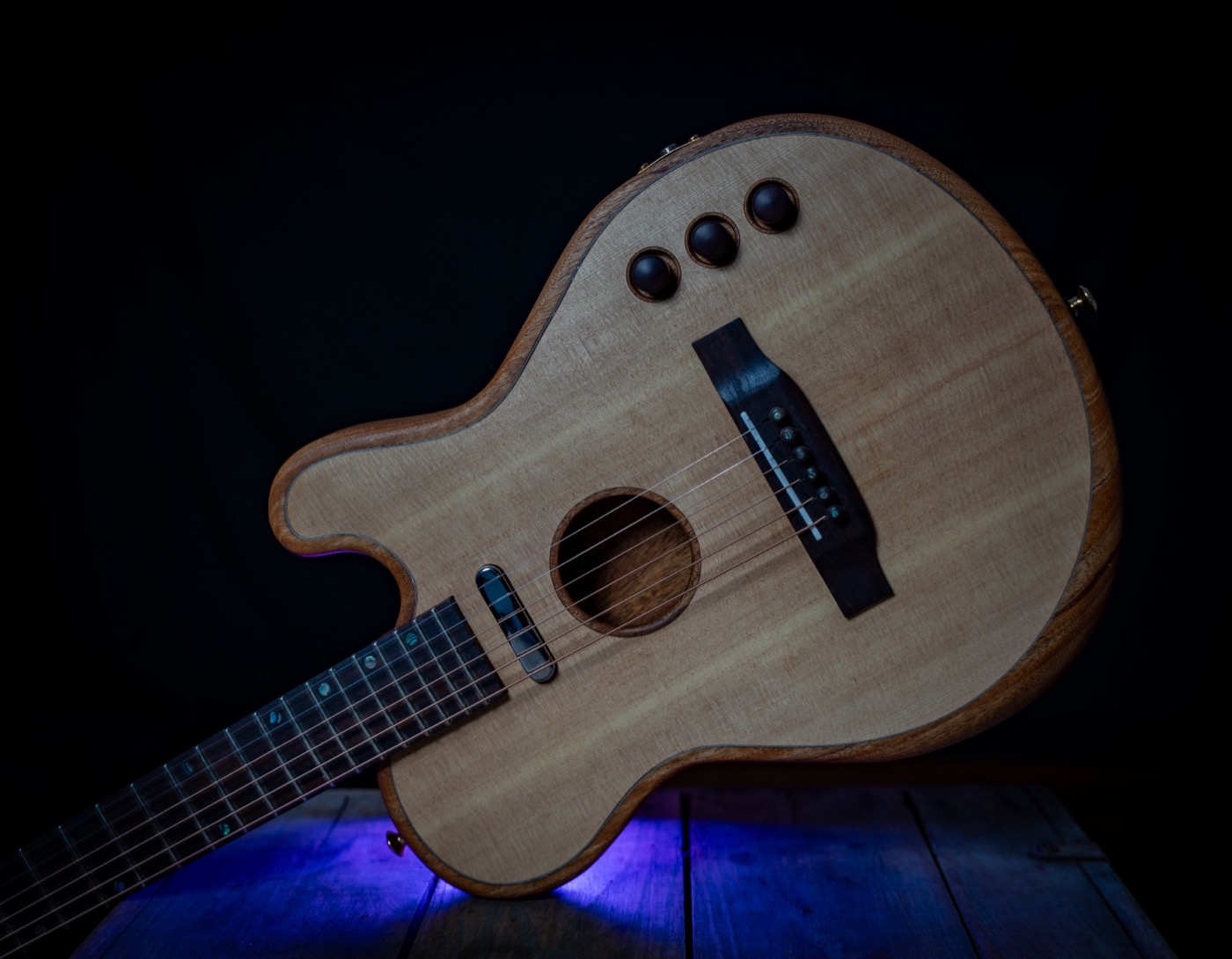 Acoustic-Electric Cutaway